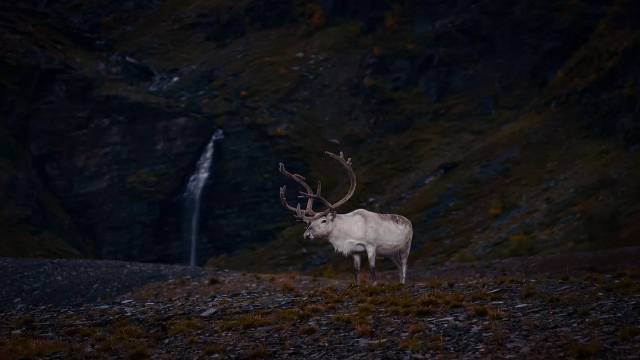 Equations in Quantitative Aptitude