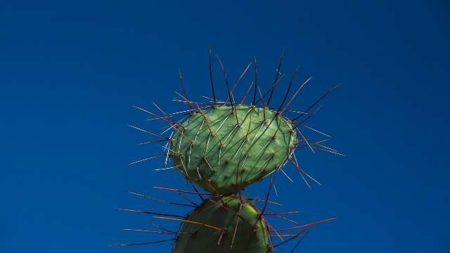 Limits in Real Analysis