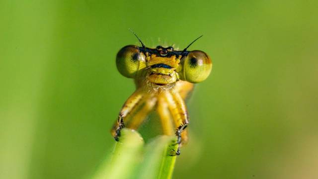 Theorems on Composition of Functions