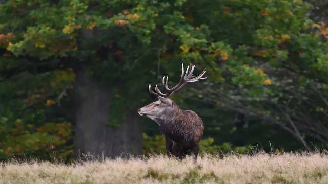 Theorems on Composition of Functions