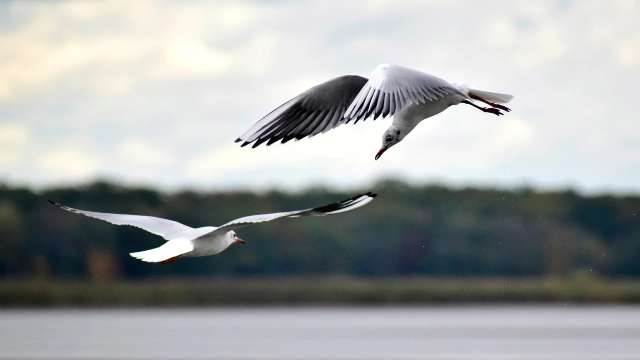 Trigonometrical Conditional Identities