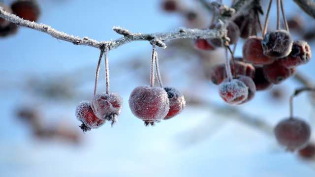 Continuity in Real Analysis