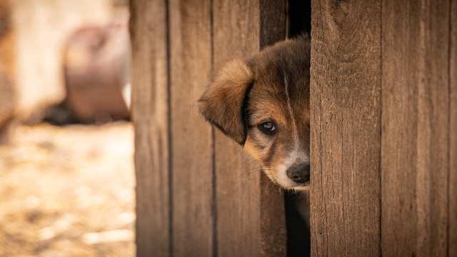 Rectilinear Motion With Acceleration