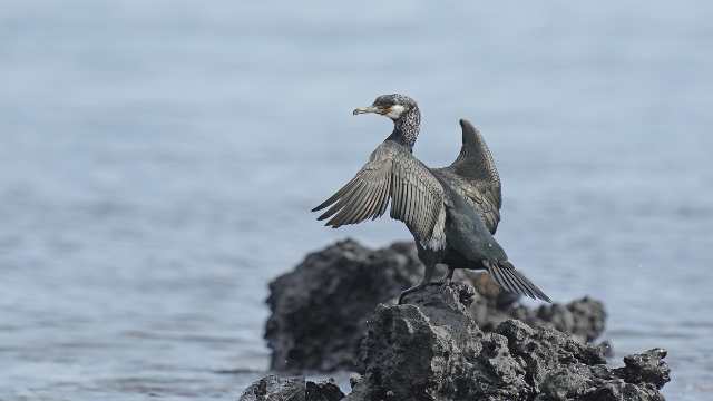 Trigonometrical Equation in Class 11th