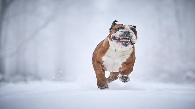 Trigonometrical Equation in Class 11th