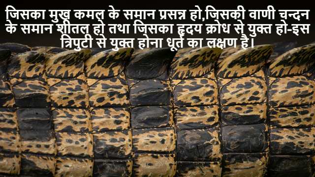 Volume and Surface Area in Arithmetic