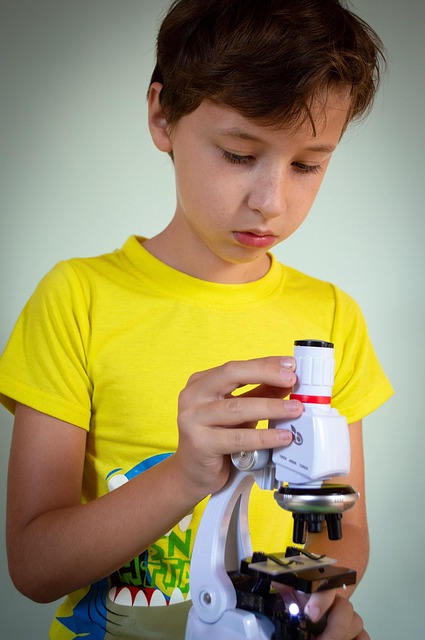 6 Tips to Know Fundamental Evaluation