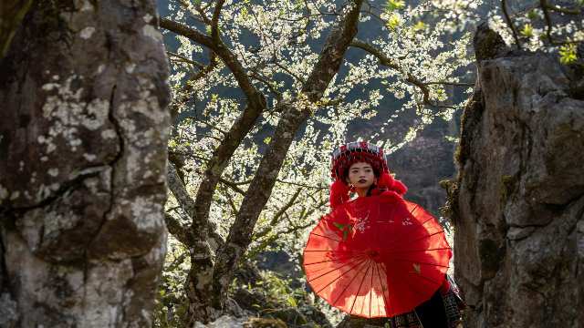 Equation Involving Two Multiple Angles