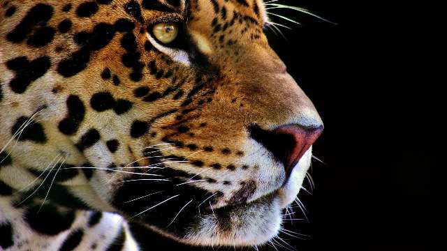 Groups in Discrete Mathematics