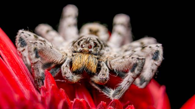 Linear Programming Class 12th