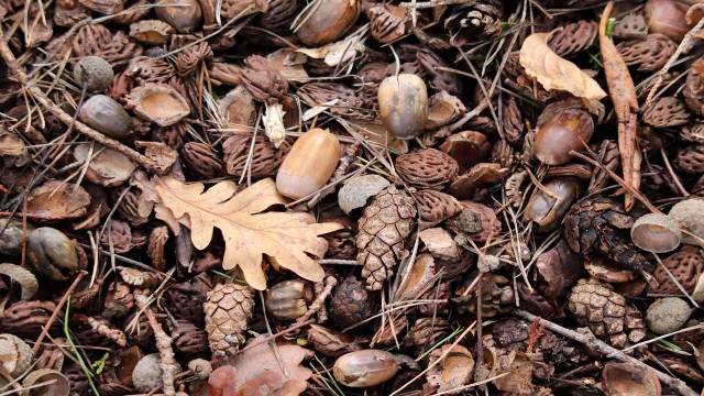 Mean and Median in Class 9th