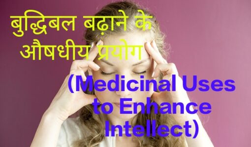 Medicinal Uses to Enhance Intellect