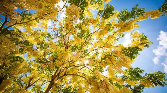 Continuity in Real Analysis