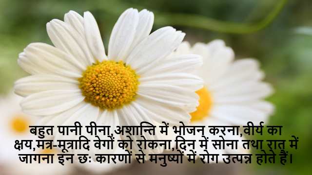 Continuity in Real Analysis