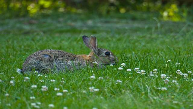 Group in Discrete Mathematics