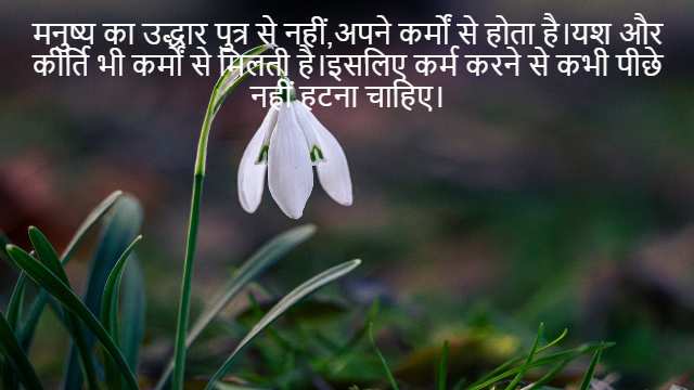 Projectile in Dynamics