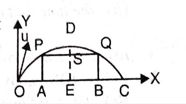 Projectiles in Dynamics