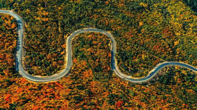 33 Straight Line MCQs with Solutions