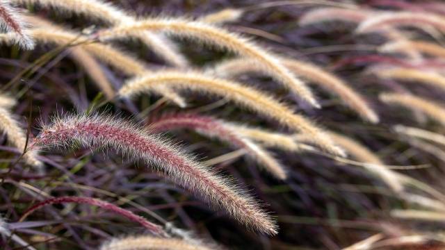 Circumference and Area of Circle 10th