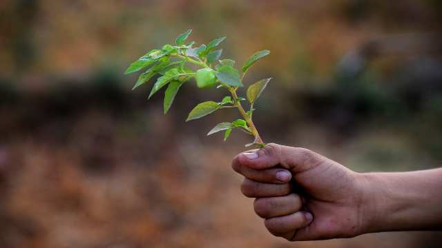 Derivative of Function of Function