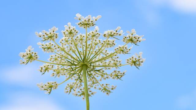 General Equation of Straight Line