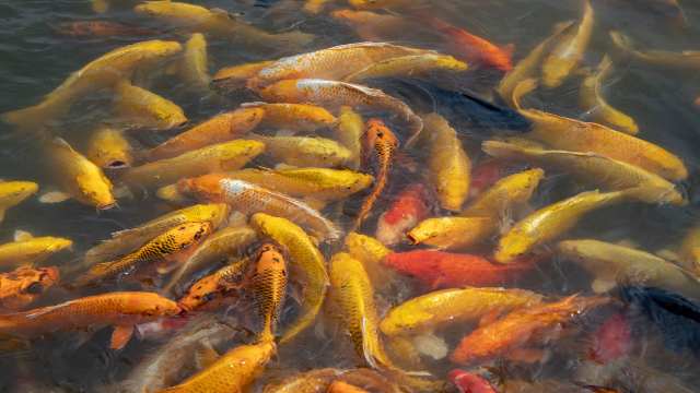 General Equation of Straight Line