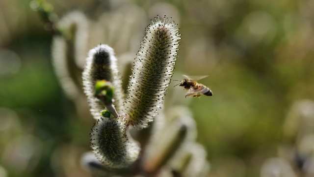 Elementary Properties of Group