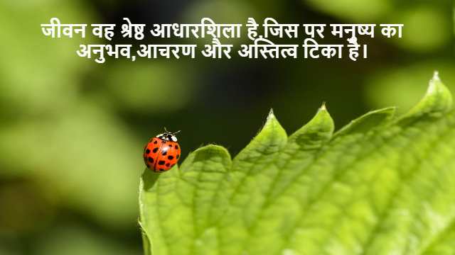 Inserting Missing Character