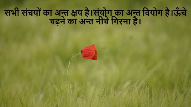 Limits of Functions of Two Variables