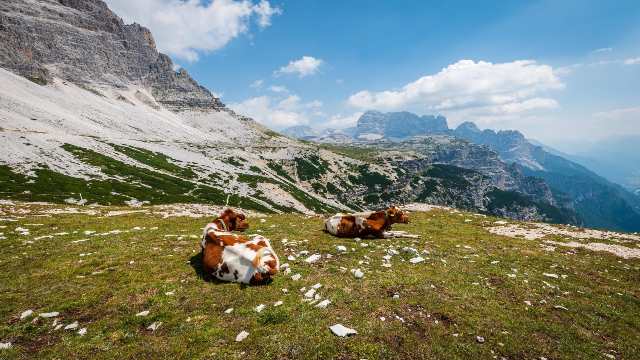 Quadrilateral in Class 9th