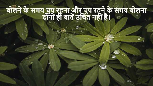 Ring Theory in Discrete Mathematics