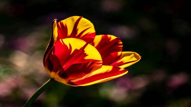 Trig Transformation Derivation