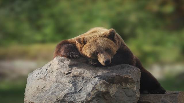 Trig Transformation Derivation