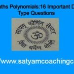 Class 9 Maths Polynomials:16 Important Descriptive Type Questions