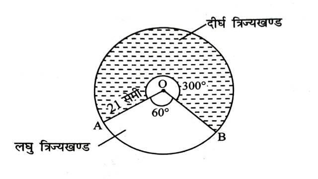 Important Board Questions Class 10:Area Related to Circles