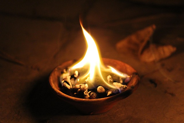 Keval Sakshar Na Banein-Swadhyayi Banein:Swadhyaya Kaise aur Kyon Karein,Slef-study