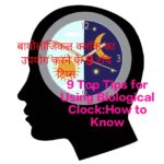 9 Top Tips for Using Biological Clock Explains the Condition of the Brain During the Day and Night