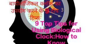 9 Top Tips for Using Biological Clock Explains the Condition of the Brain During the Day and Night