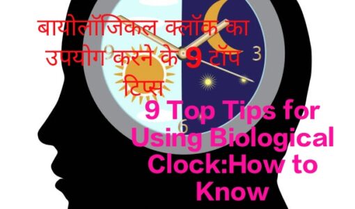 9 Top Tips for Using Biological Clock Explains the Condition of the Brain During the Day and Night