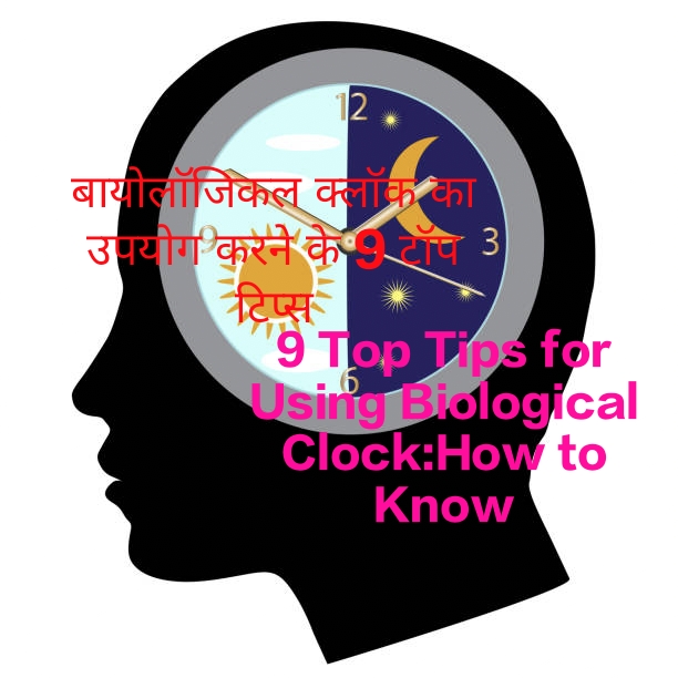 9 Top Tips for Using Biological Clock Explains the Condition of the Brain During the Day and Night