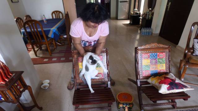 Taslima feeding her daughter Feline the cat at her residence