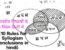 Featured Image 10 Rules for Syllogism Conclusions in hindi