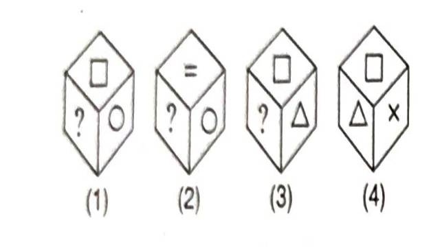 Dice in General Intelligence Test