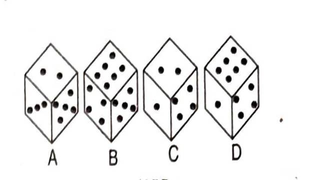 Dice in General Intelligence Test