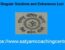 Singular Solutions and Extraneous Loci