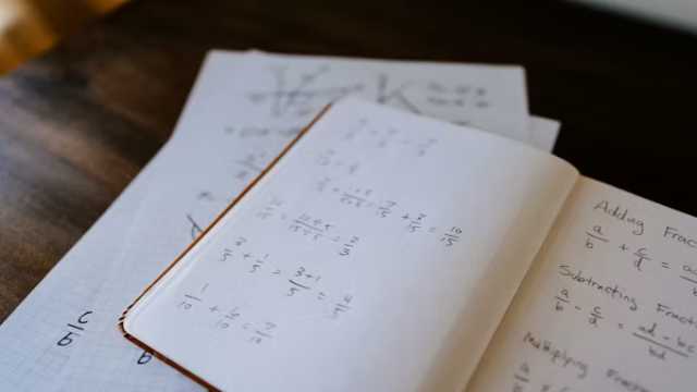 Singular Solutions and Extraneous Loci