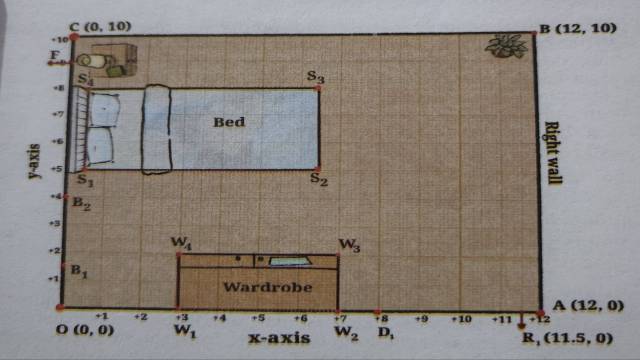 The Use of Coordinates Class 9