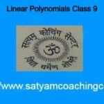 Linear Polynomials Class 9
