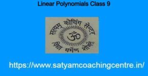 Linear Polynomials Class 9