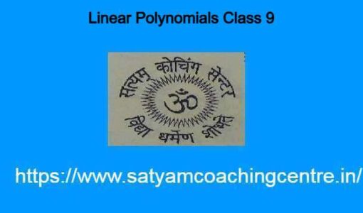 Linear Polynomials Class 9